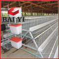 muestras gratuitas tipo escalera galvanizada jaula de pollo completamente automática para pollos